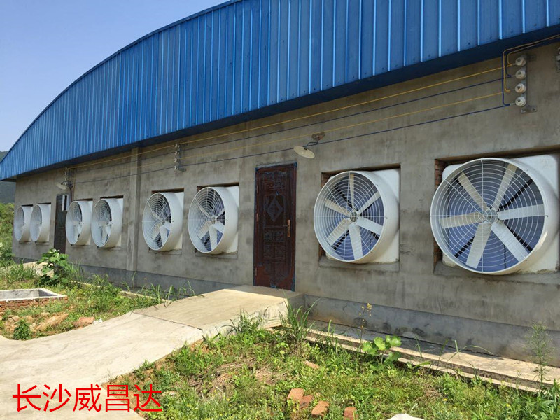 車間降溫設(shè)備水簾風機效果好，適用廣泛